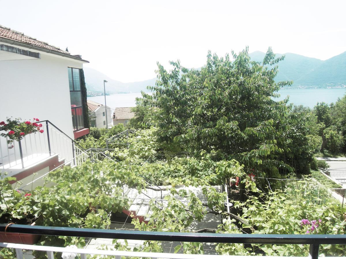 Apartment Ivana Kotor Zewnętrze zdjęcie