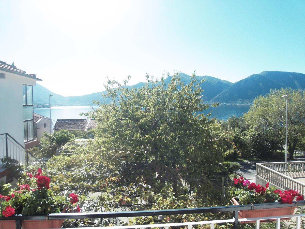 Apartment Ivana Kotor Zewnętrze zdjęcie